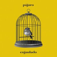 Small_ayax_-_pajaro_enjaulado