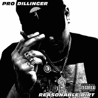Small_pro_dillinger___reasonable_dirt__2024_