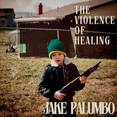 Medium_the_violence_of_healing_jake_palumbo