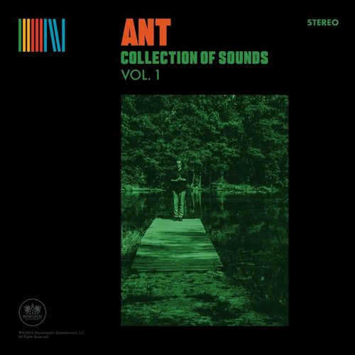 Medium_ant___collection_of_sounds_vol._1__2024_