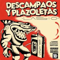 Small_descampaos_y_plazoletas__vhs__lasio