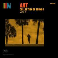 Small_collection_of_sounds_vol._2_a.n.t.