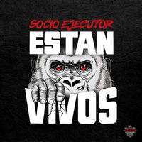 Small_est_n_vivos_socio_ejecutor