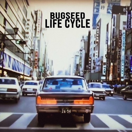 Medium_bugseed___life_cycle__2024_