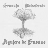 Small_agujero_de_gusano_granuja_noiseferatu