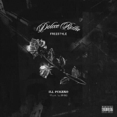 Medium_ill_peke_o_dolcce_rotta_freestyle