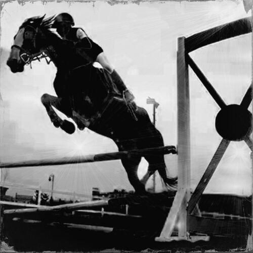 Medium_ly_raine_-_caballito