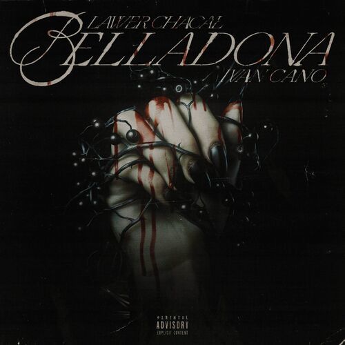 Medium_belladona