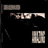 Small_amazing__feat._slykid_