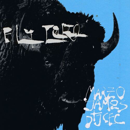 Medium_fly_toro