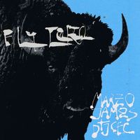 Small_fly_toro