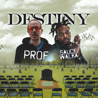 Small_prof_destiny_feat._sauce_walka