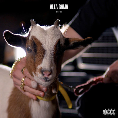 Medium_lopes_-_alta_gama