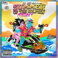 Small_the_last_summer_of_dolphin