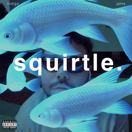 Medium_indigo_jams_-_squirtle.