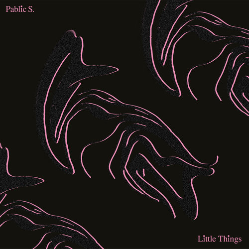 Medium_little_things_pablic_s