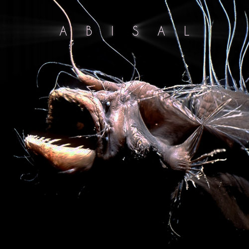 Medium_abisal