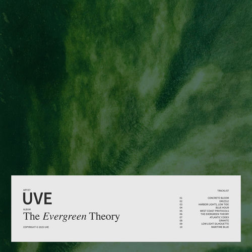 Medium_the_evergreen_theory