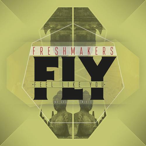 Medium_freshmakers_-_fly_like_you