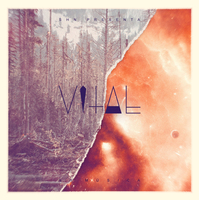 Small_shn_-_vital