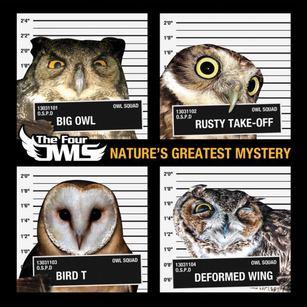 The_four_owls___nature_s_greatest_mystery