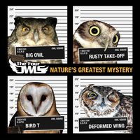 Small_the_four_owls___nature_s_greatest_mystery