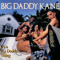 Small_big_daddy_kane_-_it_s_a_big_daddy_thing