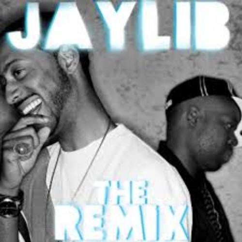 Medium_jaylib_-_the_remix