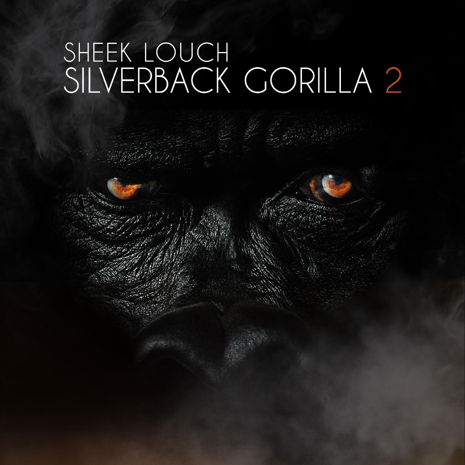 Silverback_gorilla_2