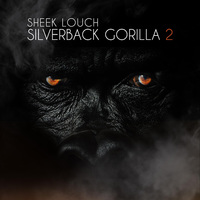 Small_silverback_gorilla_2