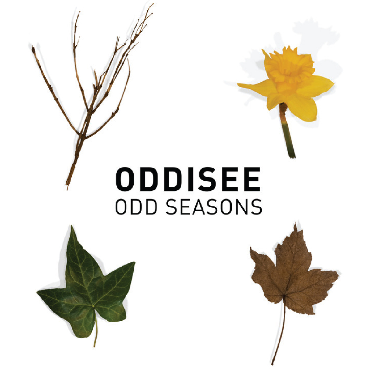 Odd_seasons