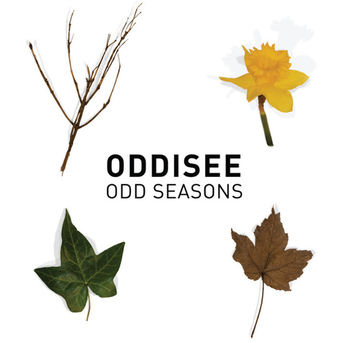 Medium_odd_seasons