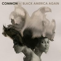 Small_common-black-america-again-768x768