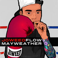 Small_flow_mayweather