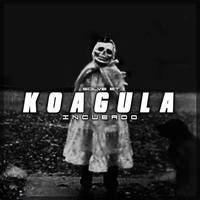 Small_koagula
