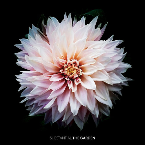 Medium_the_garden
