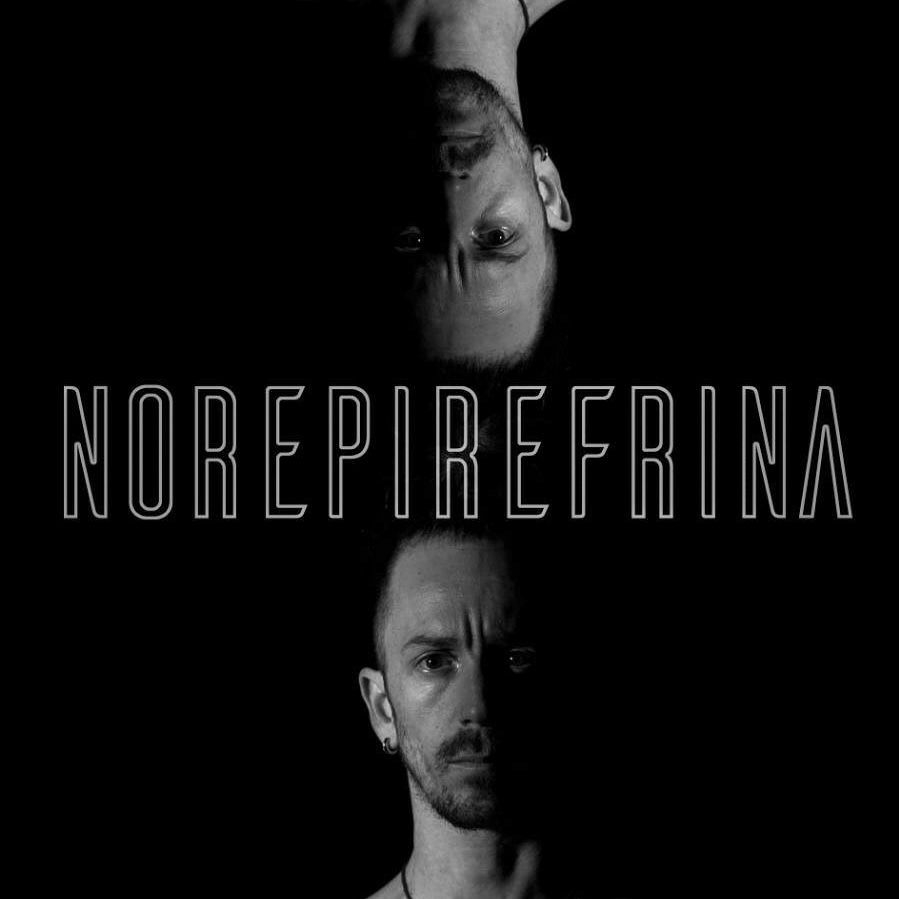 Norepinefrina
