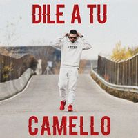 Small_dile_a_tu_camello