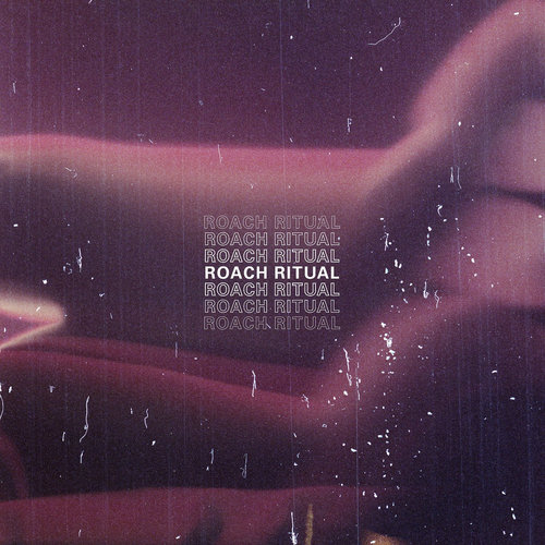 Medium_roach_ritual