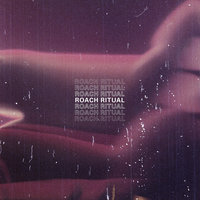 Small_roach_ritual