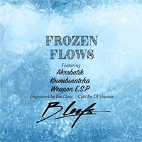 Small_frozen_flows