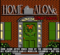Small_home_alone_after_xmass