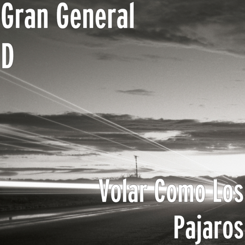 Volar Como Los Pájaros