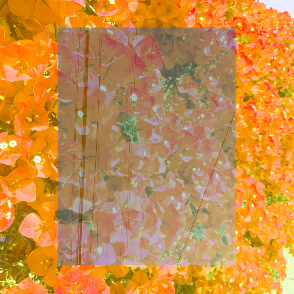 Blend Special | Ep. 2