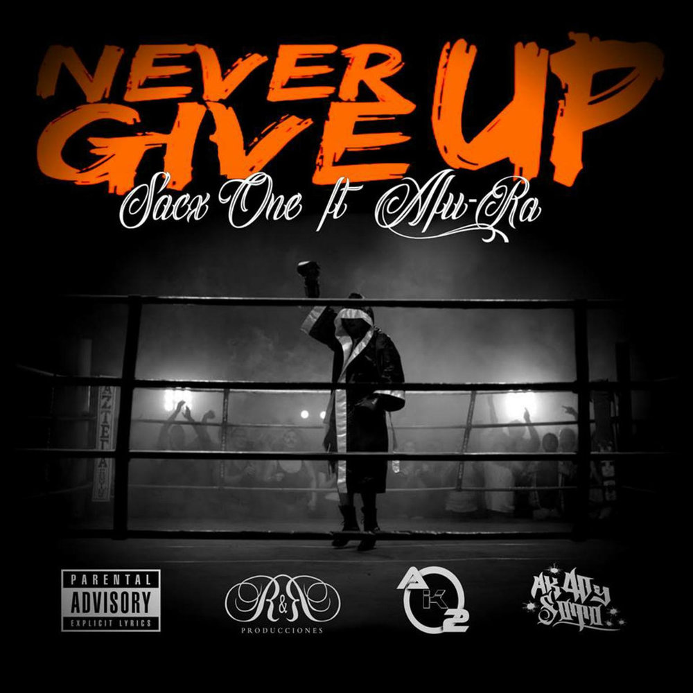 Portada de Never Give Up