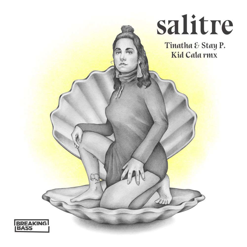 Portada de Salitre