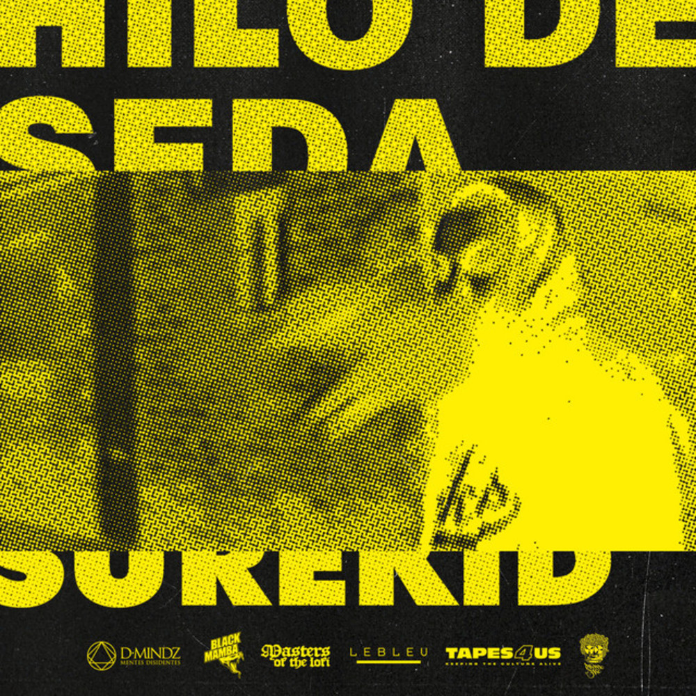 Hilo de Seda