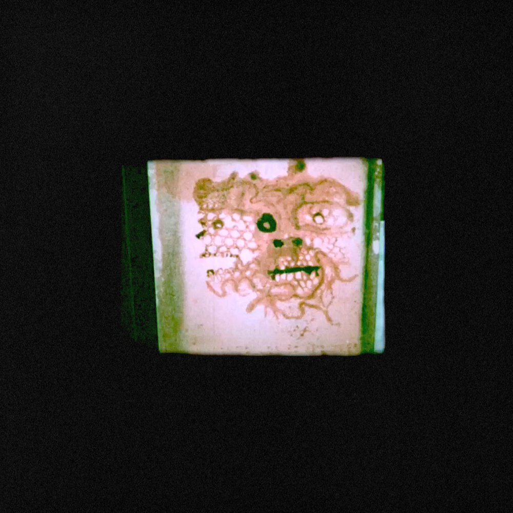 Portada de I Read That I Was Dead