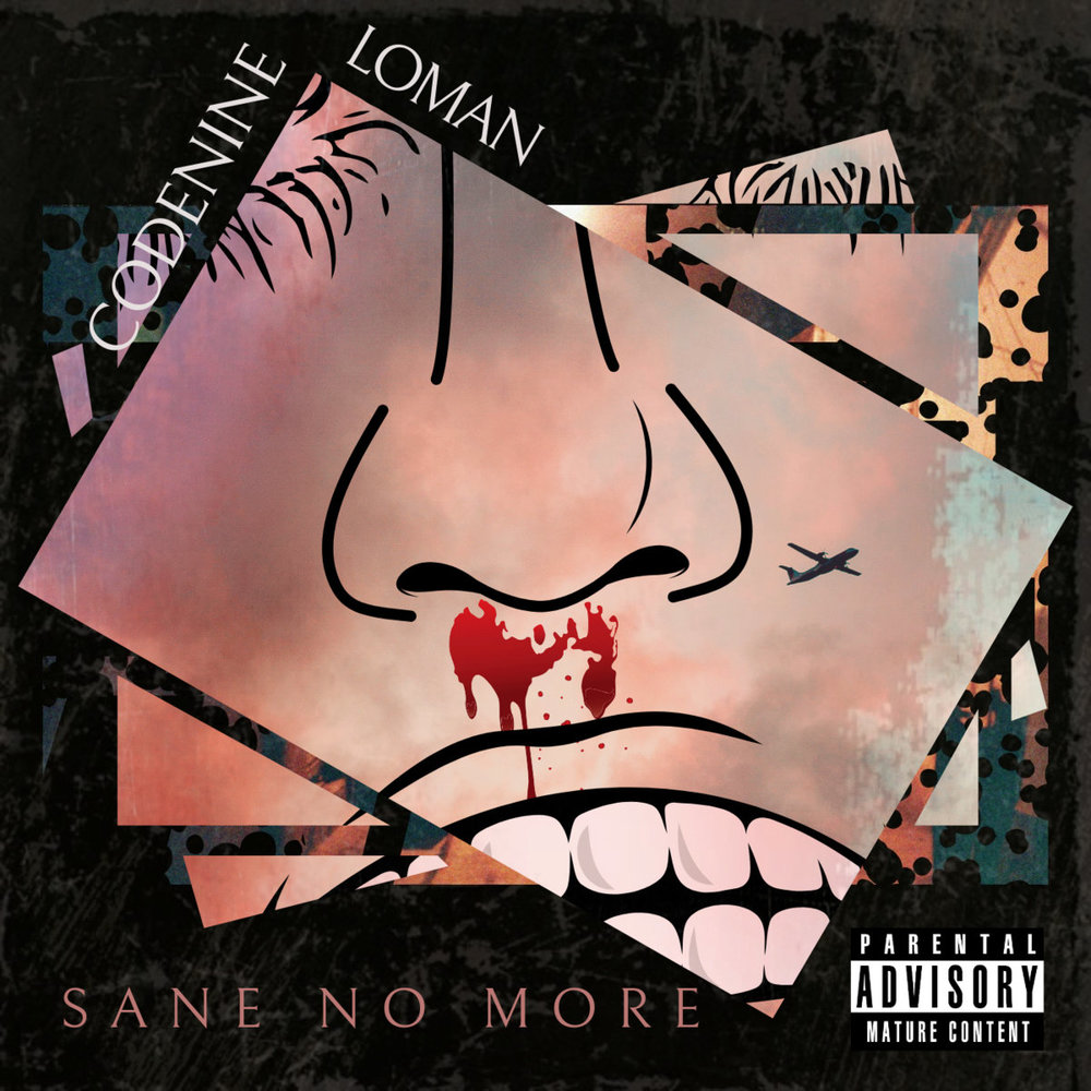 Portada de Sane No More