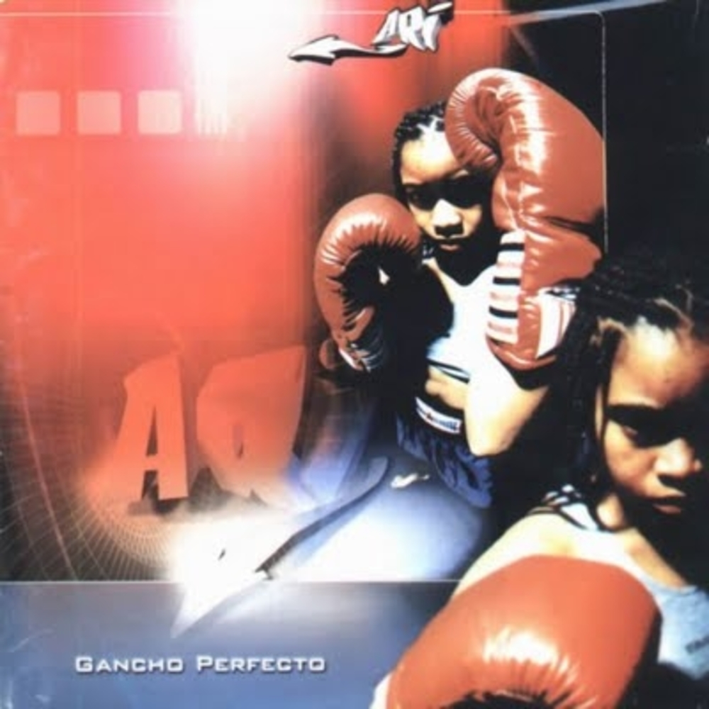 Portada de Gancho Perfecto